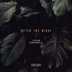 After The Night