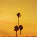 Live Recorded at Venice Beach, CA [Sunset Session]