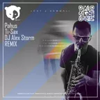 JONY HammAli - Наверно ты меня не помнишь (Pahus & DJ Alex Storm feat. Ti-Sax Remix Radio Edit)