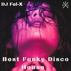 Best Funky Disco House Mix DJ Fel-X