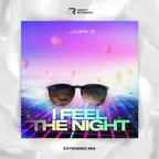 I Feel The Night