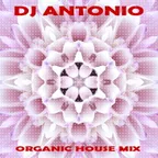 Organic House Mix