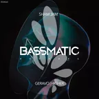 BSM060