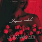 DJ HOUSE — Глупая любовь Club MIX (Ta Ya.)