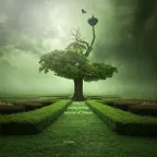 Injection of Dreams # 112