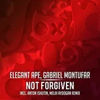 Elegant Ape feat. Gabriel Montufar - Not Forgiven
