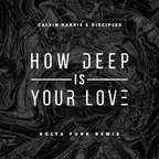 Calvin Harris & Disciples - How Deep Is Your Love (Kolya Funk Remix)