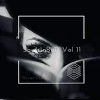 SouLInBeD Series Vol 11