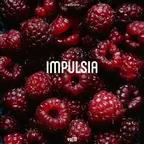 Impulsia vol.19 (2022)