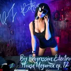 Big Progressive Electro House Megamix ep. 12