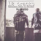 12 Tracks Vol. 020