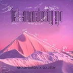 SHAUMAROV x DJ JEDY - Let Somebody Go