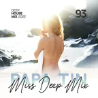 Deep House Mix 2022 vol.93