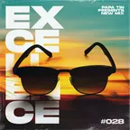 EXCELLENCE MIX 28