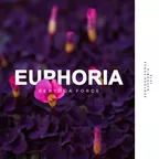 Seryoga Force - Euphoria (Original Mix)