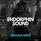Seryoga Force - Special Mix For ENDORPHIN SOUND