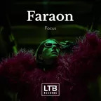 Focus