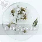 Life Circle