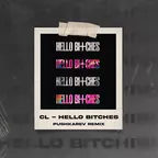 CL - Hello Bitches (PUSHKAREV remix)