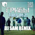 Грибы - Тает Лёд  (DJ SAM Remix)