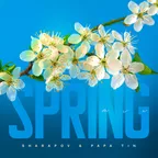 Spring Mix
