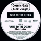 Cosmic Gate - Melt To The Ocean (Alex Jungle Remix)