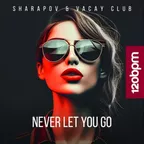 Never Let You Go