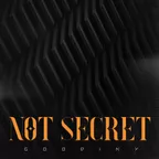 Goodiny - Not Secret