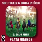 Sofi Tukker & Bomba Estereo - Playa Grande (DJ GALIN Remix 2023)