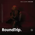 Nikko Culture & Tina Lm - In The Dark