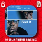 Nerio's dubwork feat.Darryl Pandy - Feel it (DJ GALIN Tribute Love Mixes)