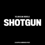 Yellow Claw, Rochelle x Misha Goda - Shotgun (DJ Calypso & Hardovich VIP Edit)
