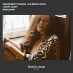 Roman Depthsound feat. Brian Lucas - I Don't Know
