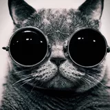 Funk You