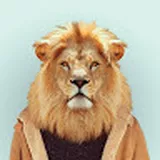 igormnanmgmail.com