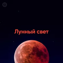 Лунный свет