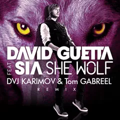 David Guetta feat. Sia - She Wolf (DVJ KARIMOV & Tom GABREEL remix)