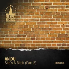 AN.DU - She's A Bitch (Mr. DJ Monj Remix)