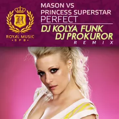 Mason vs Princess Superstar - Perfect (DJ Kolya Funk & DJ Prokuror Remix)