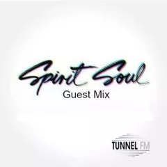 Spirit Soul Records Guest Mix (February 2015).