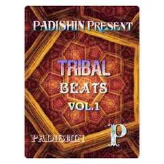 TRIBAL BEATS VOL.1 - mixed by dj Padishin (4CD) (2015)