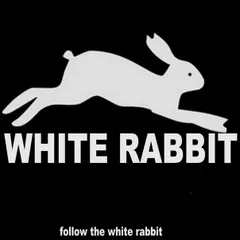 Follow the White Rabbit#2.....