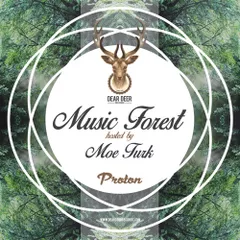 Music Forest 011 (Dear Deer Records Podcast)