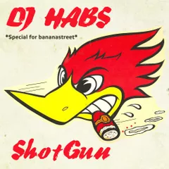 ShotGun