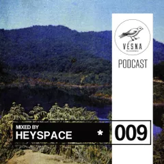 Vesna Podcast – 009: Heyspace