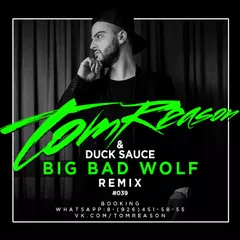 Tom Reason & Duck Sauce - Big Bad Wolf (Remix)