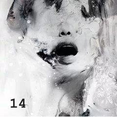 Pleasound 14