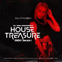 House Treasure 001 (2k23)