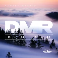 DMR #010