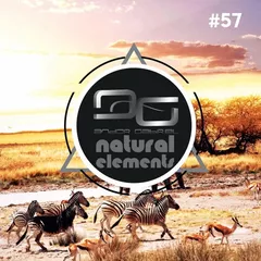 Natural Elements (Episode 57)